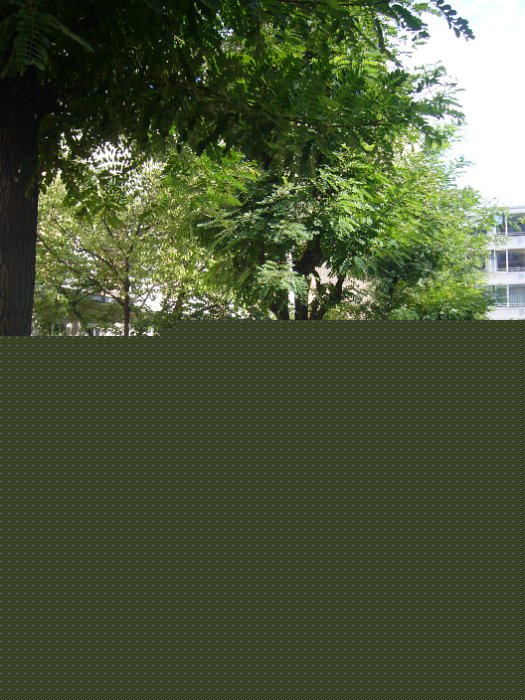 ferienrogramm 31.8.2011 021